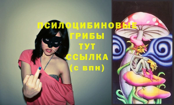 спайс Алзамай
