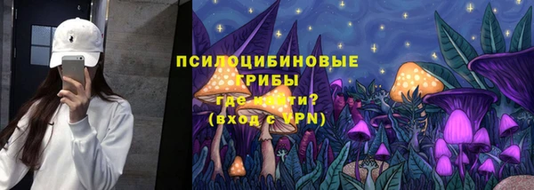 спайс Алзамай